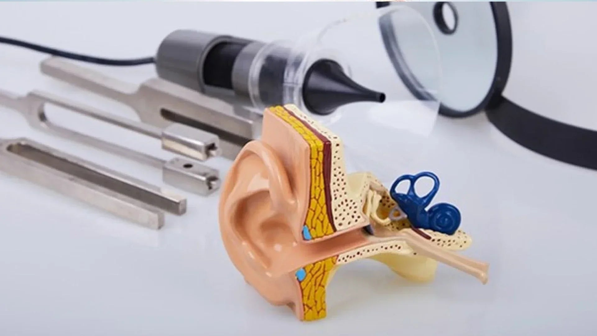 7 Ways A Hearing Care Professional Helps With Your Hearing