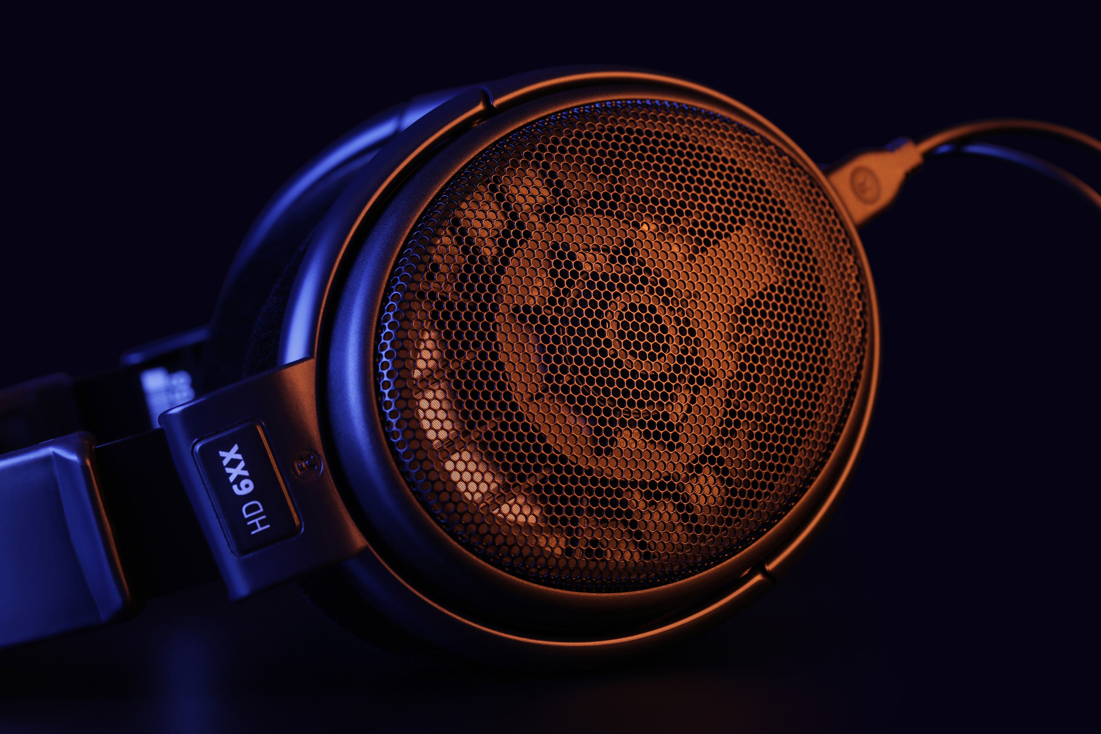 Momentum Sport Img 02