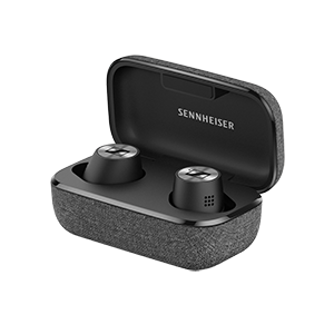 True Wireless Earbuds