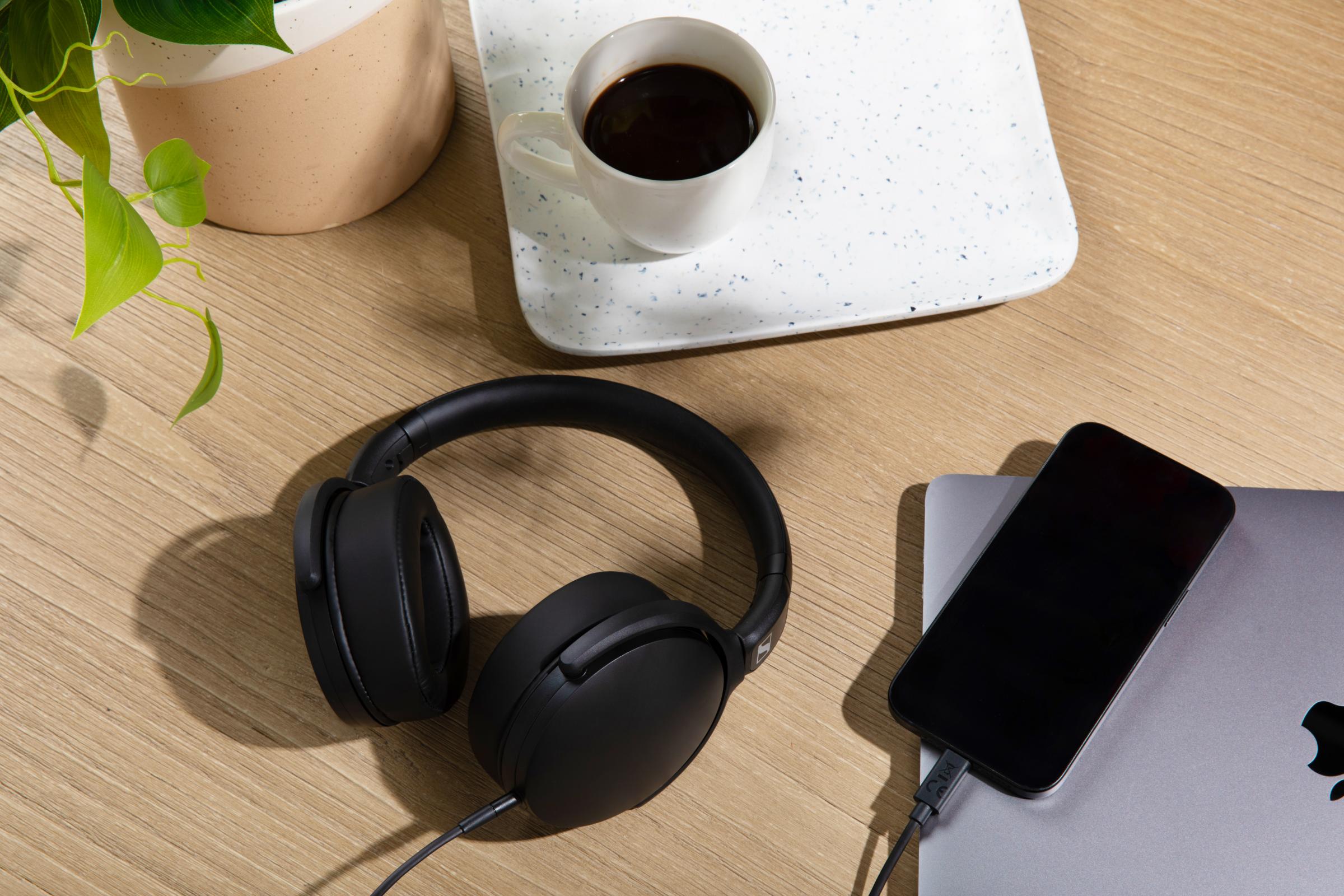 Momentum Sport Img 02