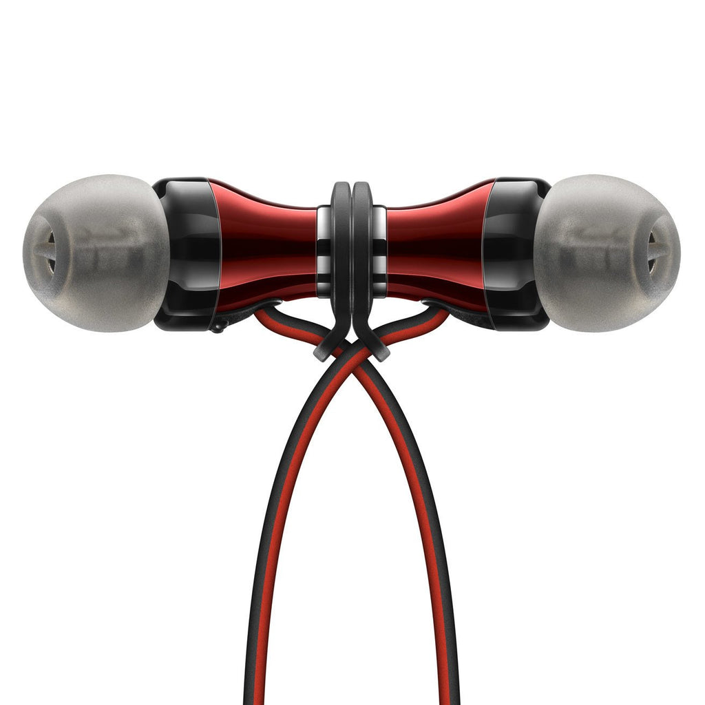 MOMENTUM Free Special Edition